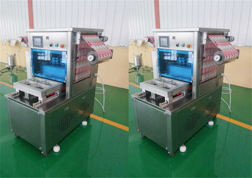 雞產(chǎn)品真空封口機(jī)設(shè)備——諸城市廣元機(jī)械專業(yè)解決方案